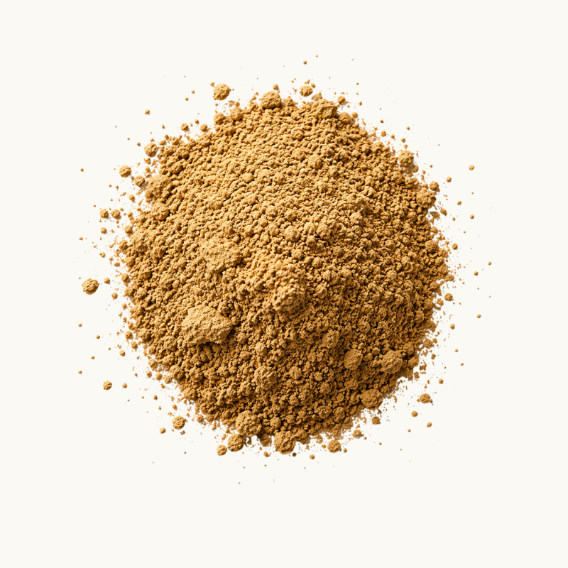 A small mound of fine brown powder, Polypodium leucotomos, photographed from above on a clean off-white background.